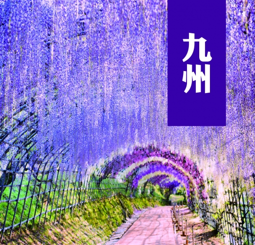 日本九州夢幻紫藤花溫泉螃蟹美食美景五日-IT1804
